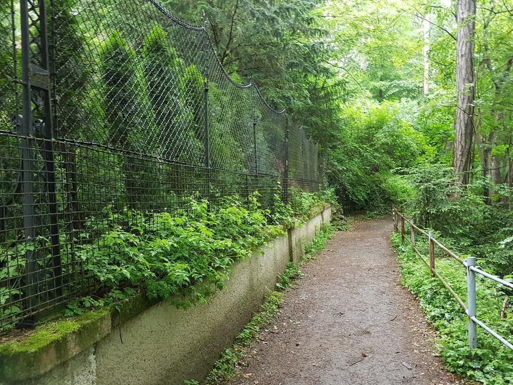 Helenental Pension & Apartments Μπάντεν Εξωτερικό φωτογραφία
